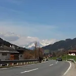 Nachtviole *