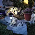 Nachtviole *