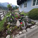 Nachtviole Bed and Breakfast Hüttau