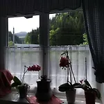 Bed and Breakfast Nachtviole