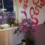 Nachtviole *