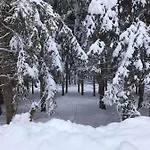 Nachtviole Bed and Breakfast