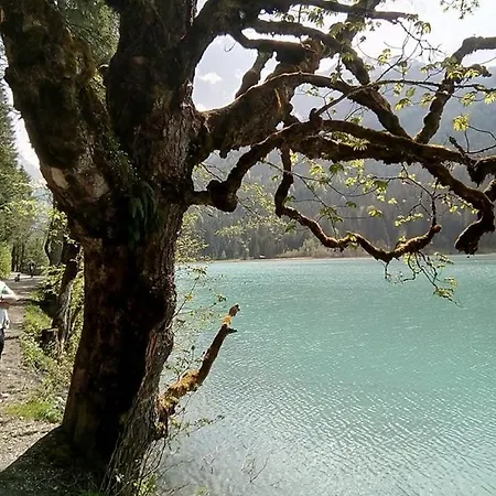 Nachtviole Nocleg ze śniadaniem *