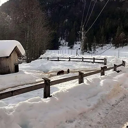 Nachtviole Bed and Breakfast Hüttau