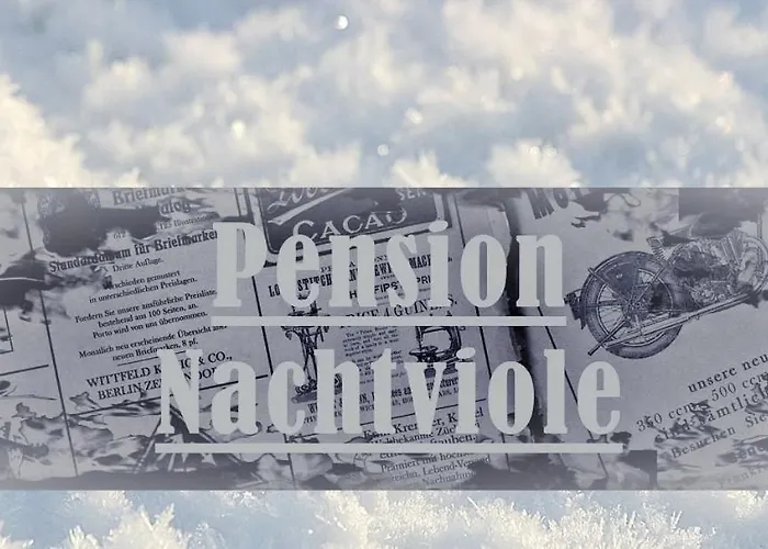 Nachtviole Hüttau