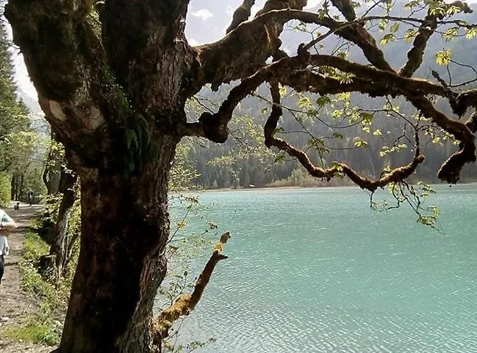 Nachtviole Bed & Breakfast *