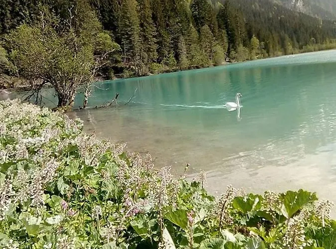 Nachtviole Bed & Breakfast Hüttau