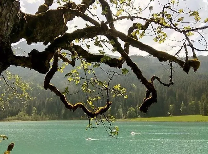 Bed & Breakfast Nachtviole Hüttau