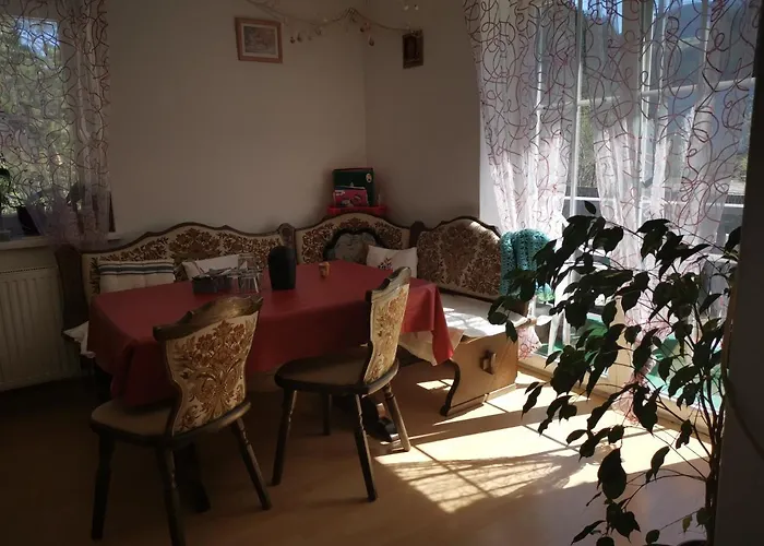 Nachtviole * Hüttau