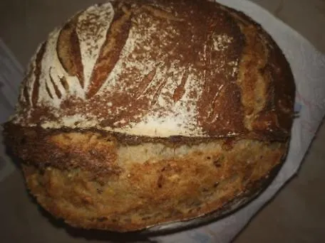 Nachtviole * Hüttau