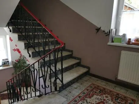 Nachtviole * Hüttau