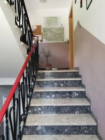 Nachtviole * Hüttau