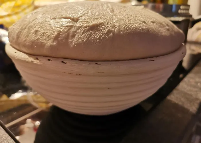 Nachtviole לינה וארוחת בוקר