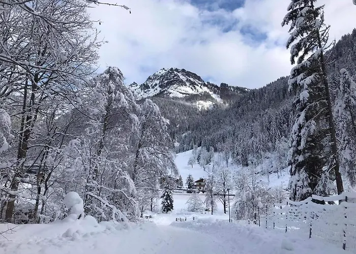 Nachtviole Bed & Breakfast *