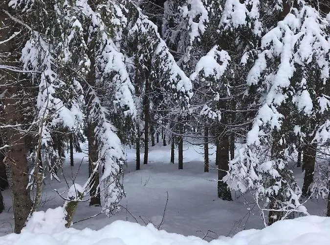 Nachtviole Bed & Breakfast